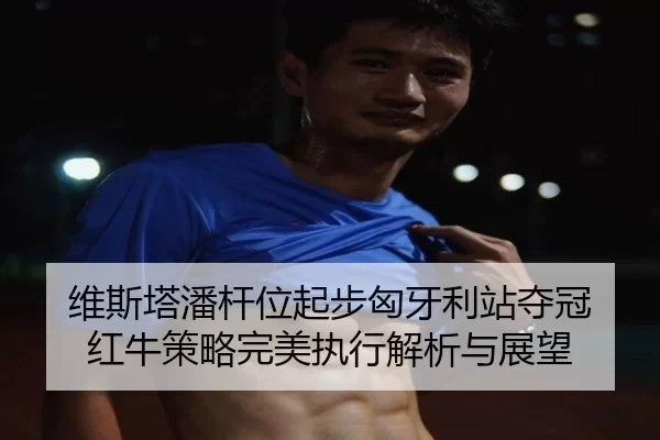 维斯塔潘杆位起步匈牙利站夺冠 红牛策略完美执行解析与展望